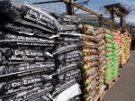 Spring at Rail City