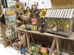 Spring at Rail City