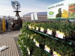 Spring at Rail City