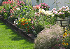 Lawn And Garden