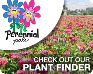 Check out our Perennial Pals Plant Finder!