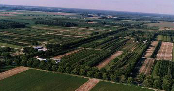 Brock Farms