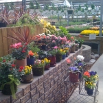 Schriemer's Home and Garden Showplace