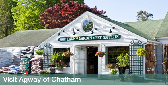 Agway of Chatham
