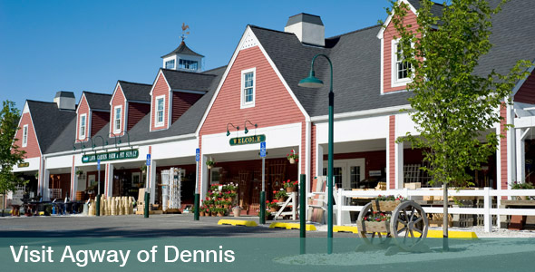 Agway of Dennis
