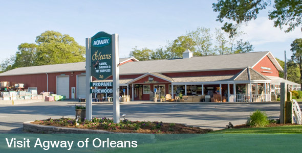 Agway of Orleans