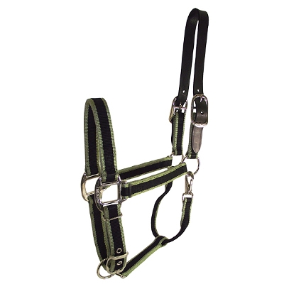 20% off All In-Stock Hamilton Halters