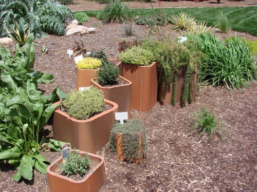 Green College Class: Xeriscaping