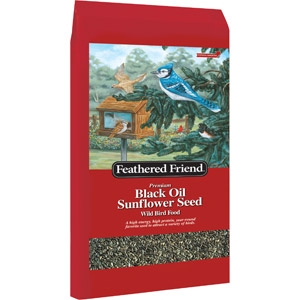 Feathered Friend Black Oil Seed 20lb Only $12.99