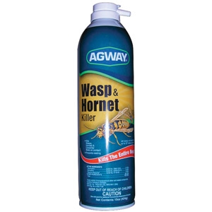 Agway Wasp & Hornet Killer Only $2.99
