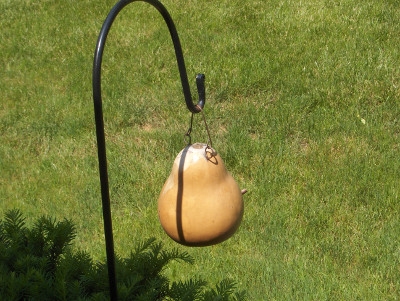 Build & Bling Gourd Birdhouses with Jack Fulton