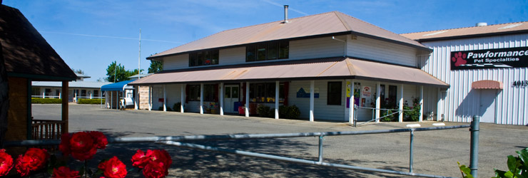 Pawformance Store Front
