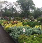 Colts Neck Nursery and Garden Center