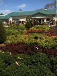 Colts Neck Nursery and Garden Center