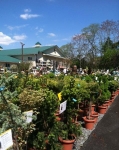 Colts Neck Nursery and Garden Center