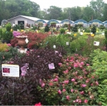 Colts Neck Nursery and Garden Center
