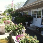 Colts Neck Nursery and Garden Center