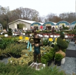 Colts Neck Nursery and Garden Center