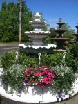 Colts Neck Nursery and Garden Center