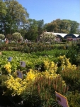 Colts Neck Nursery and Garden Center