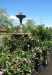 Colts Neck Nursery and Garden Center