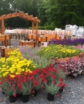 Colts Neck Nursery and Garden Center