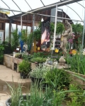 Colts Neck Nursery and Garden Center