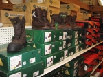 Clothing & Footwear