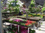 Nursery