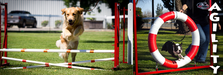 Agility Header