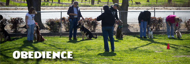 Obedience Classes
