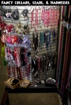 Fancy Collars & More
