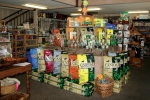 Canidae Corner