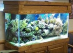 Client Tank