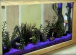 Client Tank