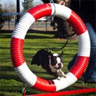 Fall Training Classes