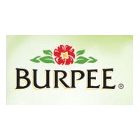 50% Off a Pack of Burpee Seeds