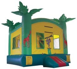 Tropical Moonbounce