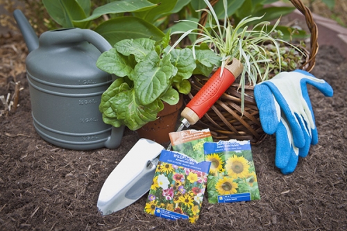 'Starting Your Veggie Garden' classes: 11am-Noon & 1pm-2pm