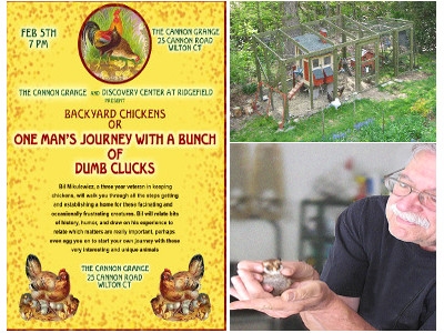 Raising Backyard Chickens Explained