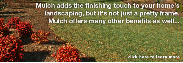 Agway has The Right Mulch for Every Yard