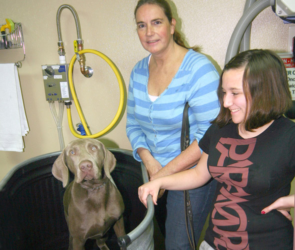 Dog Wash Customer 1