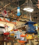 Wild Bird Feeders