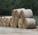 Hay Bales