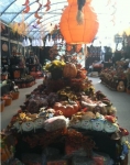 Fall at Brock Farms
