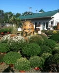Fall at Brock Farms