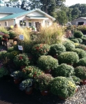 Fall at Brock Farms
