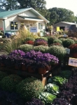 Fall at Brock Farms