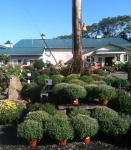 Fall at Brock Farms