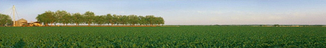 Prairietown Pre-Footer